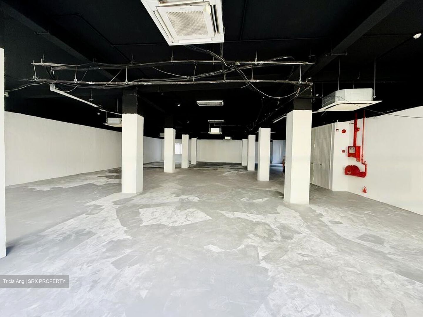 Upper Circular Road (D1), Office #459019161